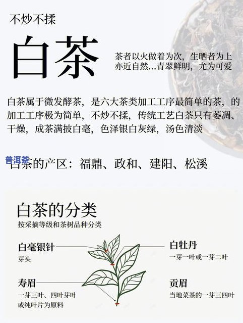 开博体育官方app开博体育茶叶的种类六大：全面解析茶叶的六大类别(图2)