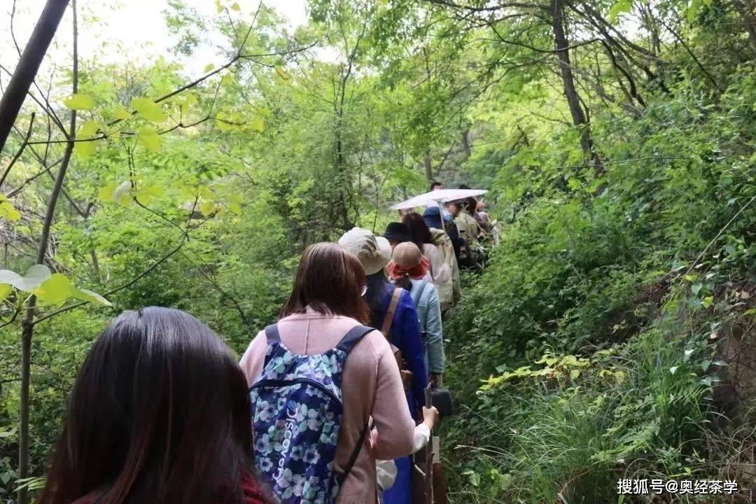 大学生学习茶艺热潮方兴未艾(图2)